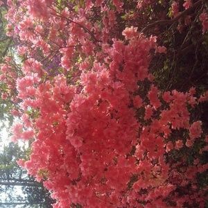 Meet your Posher, Xu